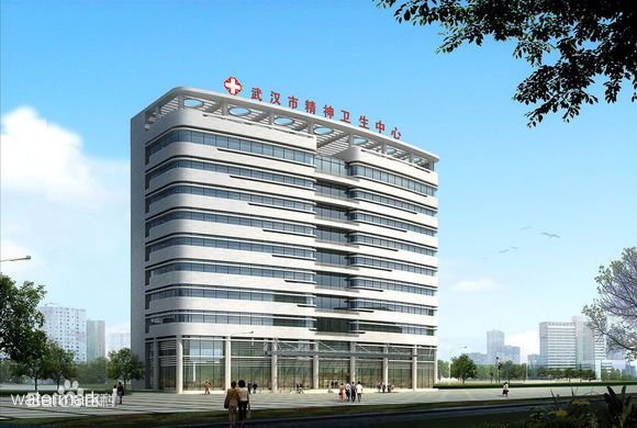 湖北省武漢市精神衛(wèi)生中心——人臉識別測溫翼閘項(xiàng)目