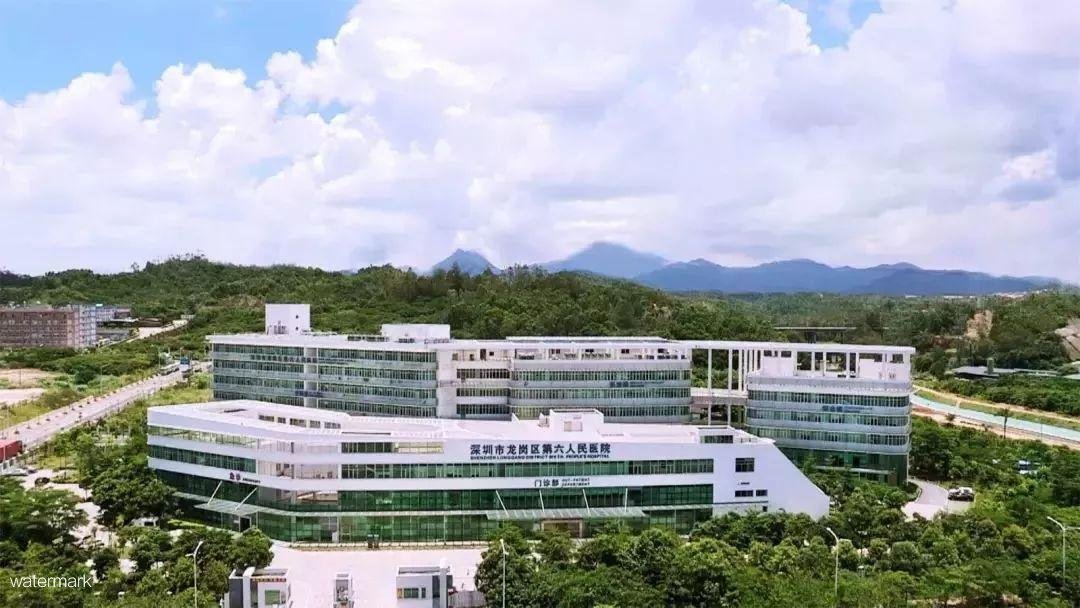 深圳市龍崗區(qū)第六人民醫(yī)院——粵康碼人臉識別測溫?cái)[閘項(xiàng)目